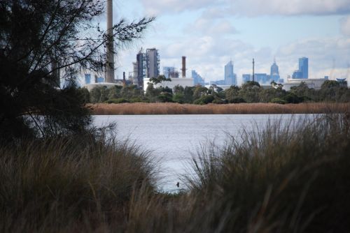 Lake And City