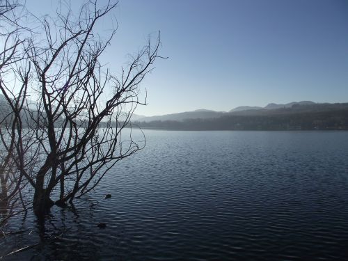 lake avigliana lake piemonte