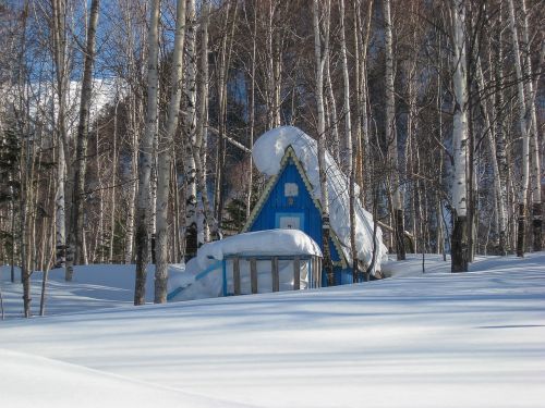 lake baikal undergrowth snow