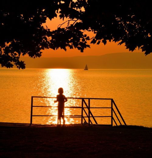 lake balaton in the evening sunset