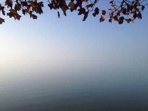 lake balaton autumn leaves