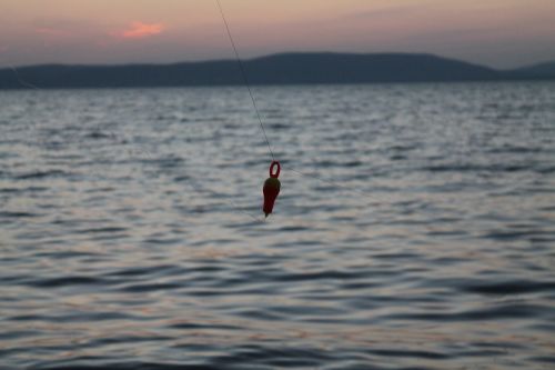 lake balaton water summer