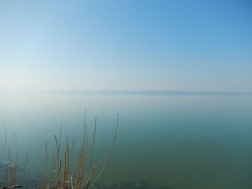 lake balaton lake nature