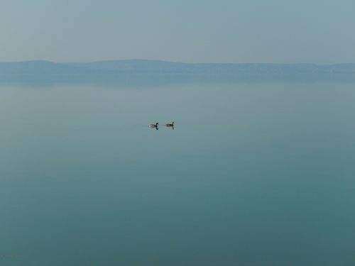 lake balaton lake nature