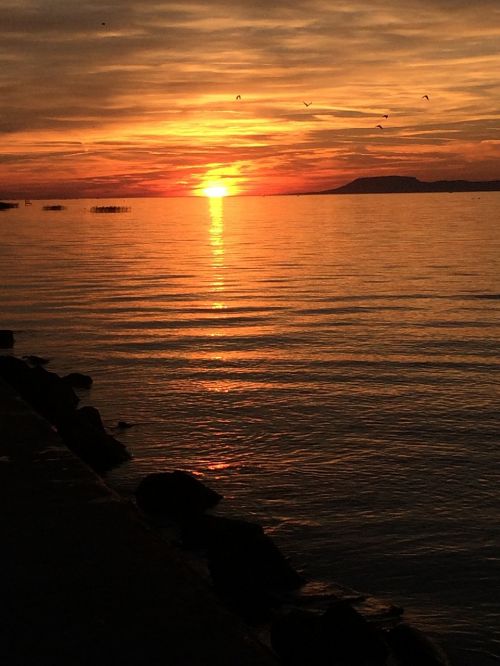 lake balaton sunset aranyhíd