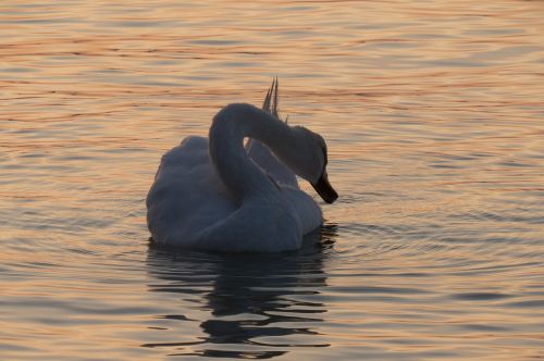 lake balaton mood sun