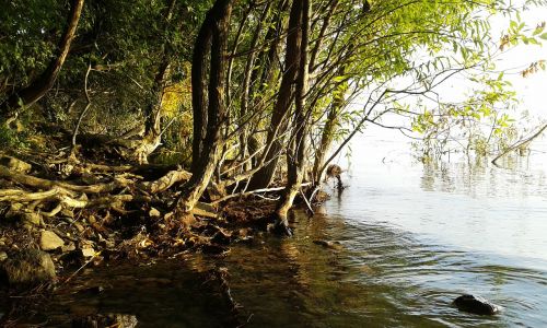 lake balaton lake lakeside