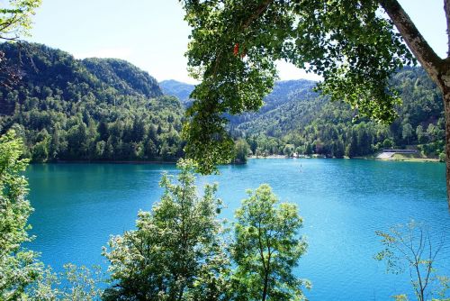 lake bled slovenia nature