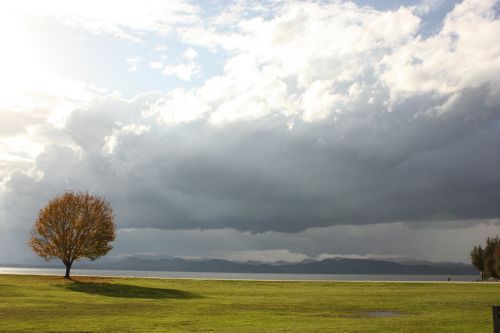 lake champlain autumn tree