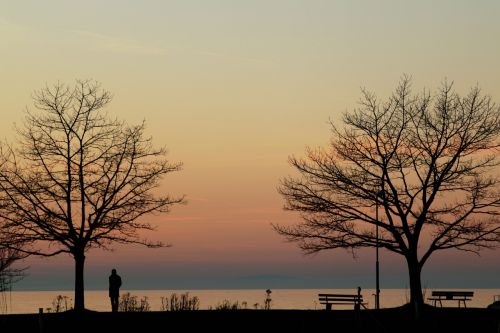 lake constance evening alone