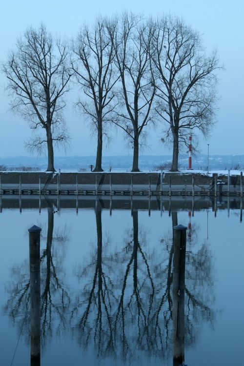 lake constance bregenz winter