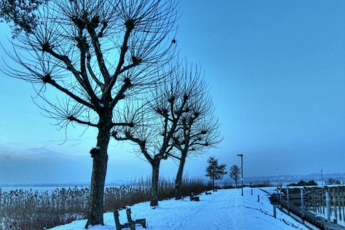 lake constance bregenz winter