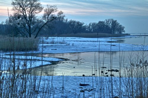 lake constance bregenz winter