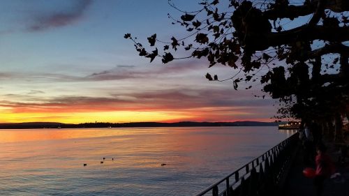 lake constance sunset water