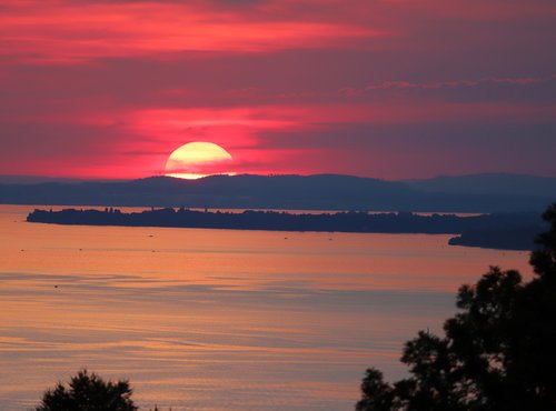 lake constance  lindau  bregenz