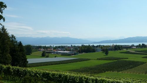 lake constance nature landscape