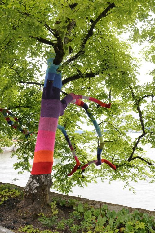 lake constance tree promenade