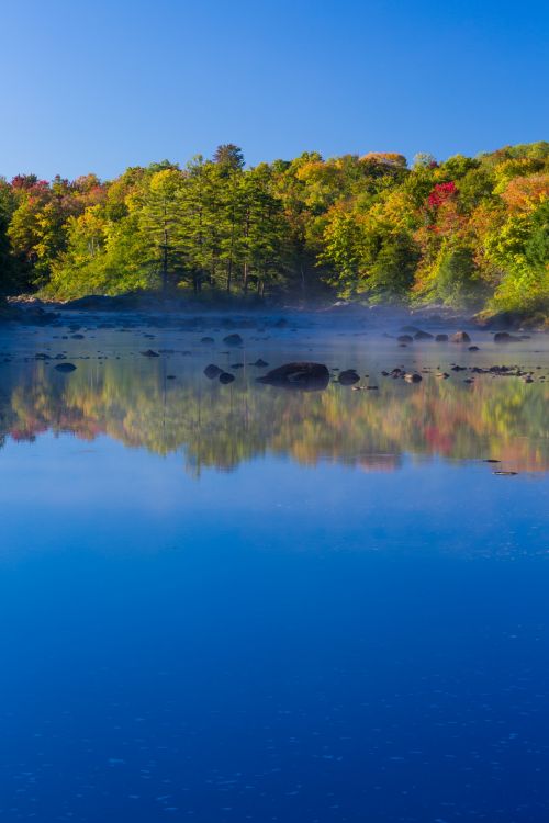 Lake In Autumn