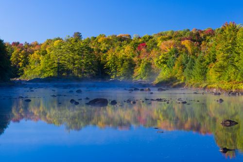 Lake In Autumn