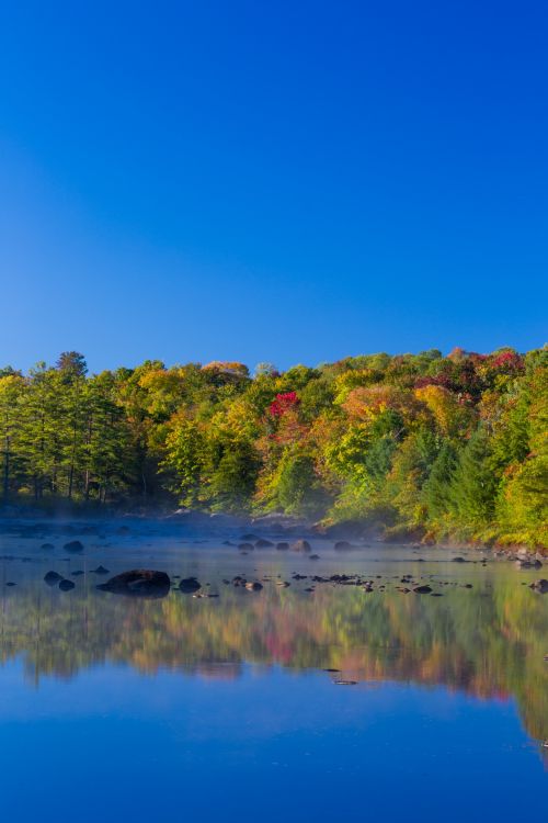 Lake In Autumn