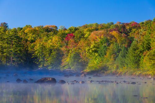 Lake In Autumn