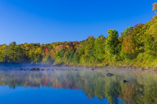 Lake In Autumn