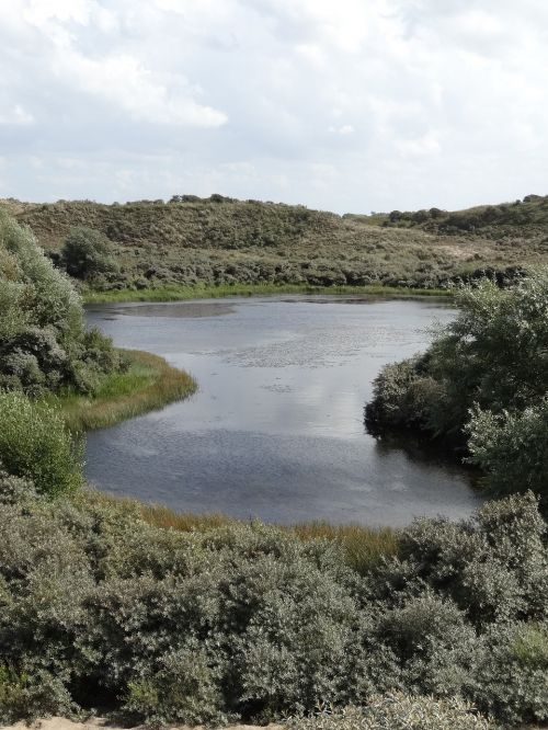 lake in the dunes dunes dutch landscape