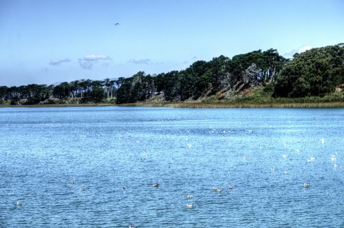 Lake Landscape