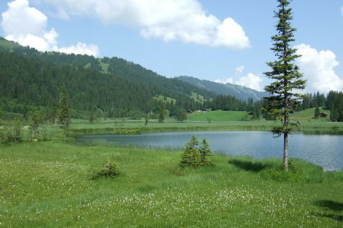 lake lauenen alpine switzerland