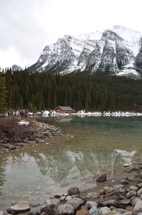 lake louise rockies rocky mountains