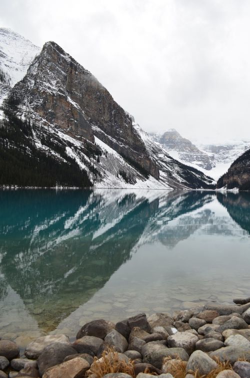 lake louise rockies rocky mountains