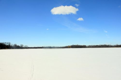 Lake Maria Frozen