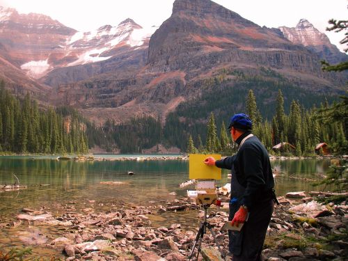 lake ohara alberta canada