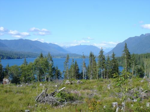 lake quinault olympic national park lakes