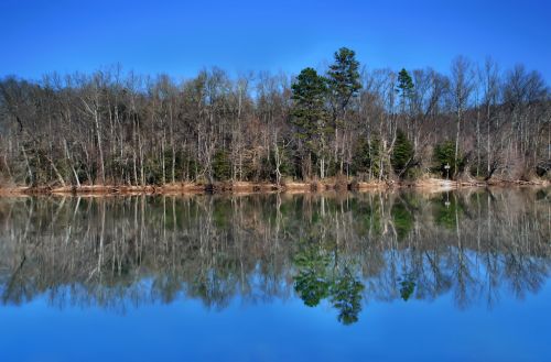 Lake Reflections