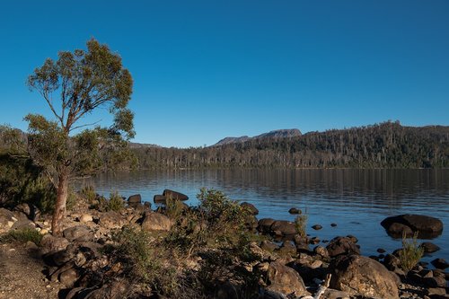 lake st clair  lake  tasmania