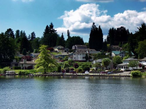 lake stevens washington trees