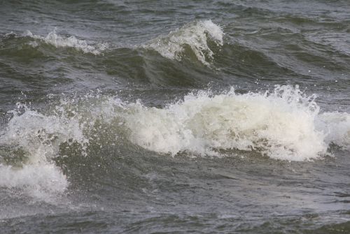 Lake Waves