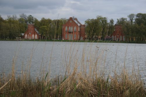 Lake With Wild Grass