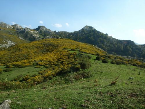 lakes covadonga asturias