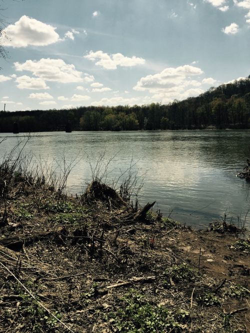 lakeshore lake nature