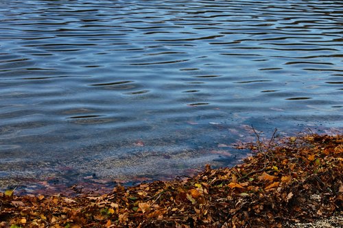 lakeside  lake  bank