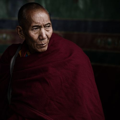 lama tibet vicissitudes