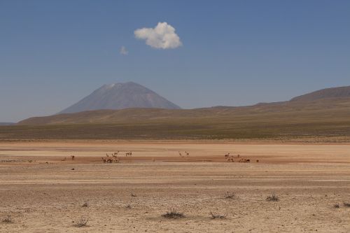 lama mountains desert