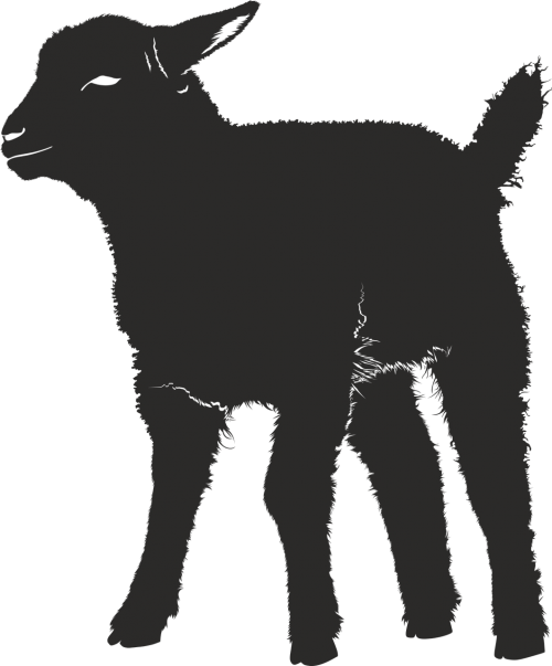 lamb silhouette black