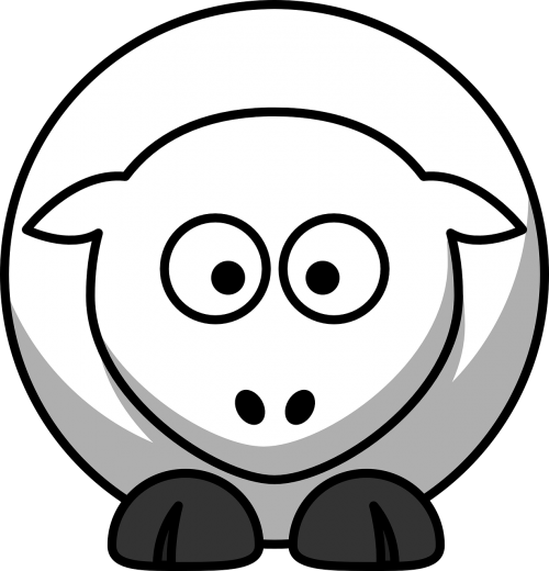 lamb sheep milk cow
