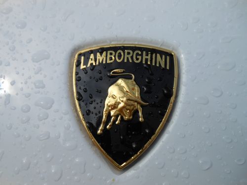 lamborghini white emblem