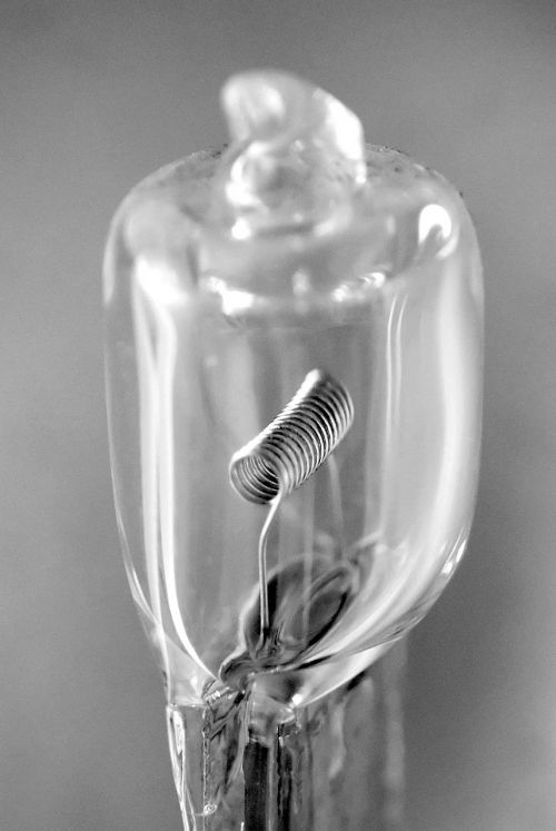 bulb lamp close-up