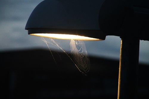 lamp  cobweb  light