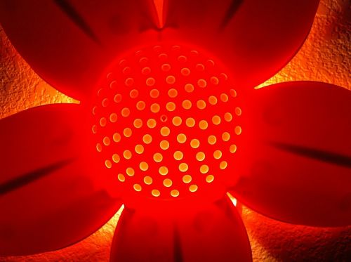 lamp nightlight flower